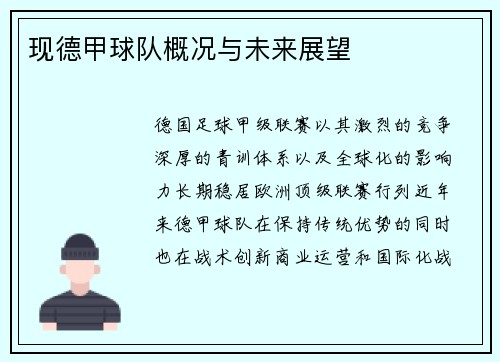现德甲球队概况与未来展望