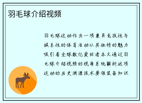 羽毛球介绍视频